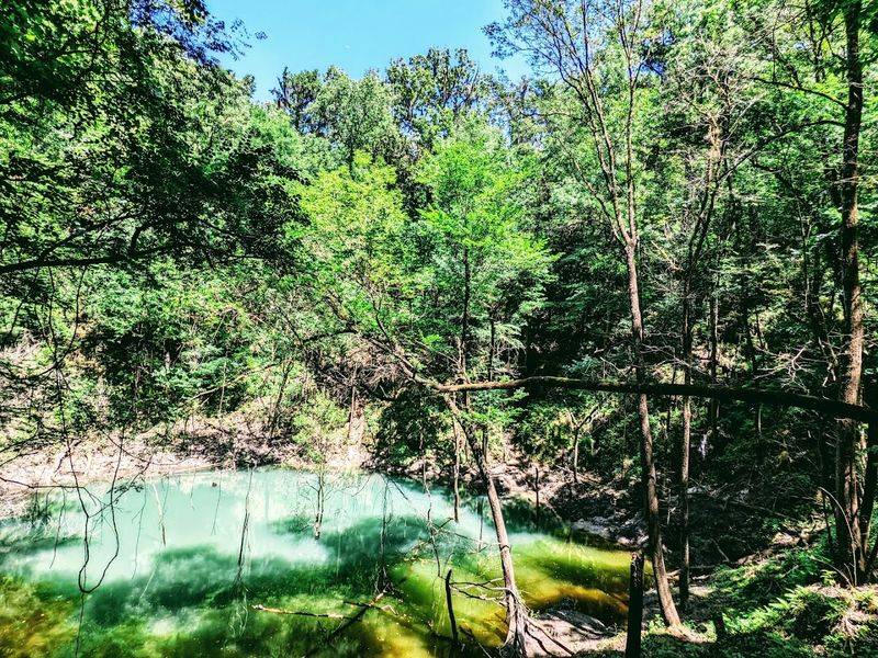 How This Sinkhole Compares to Others in Florida