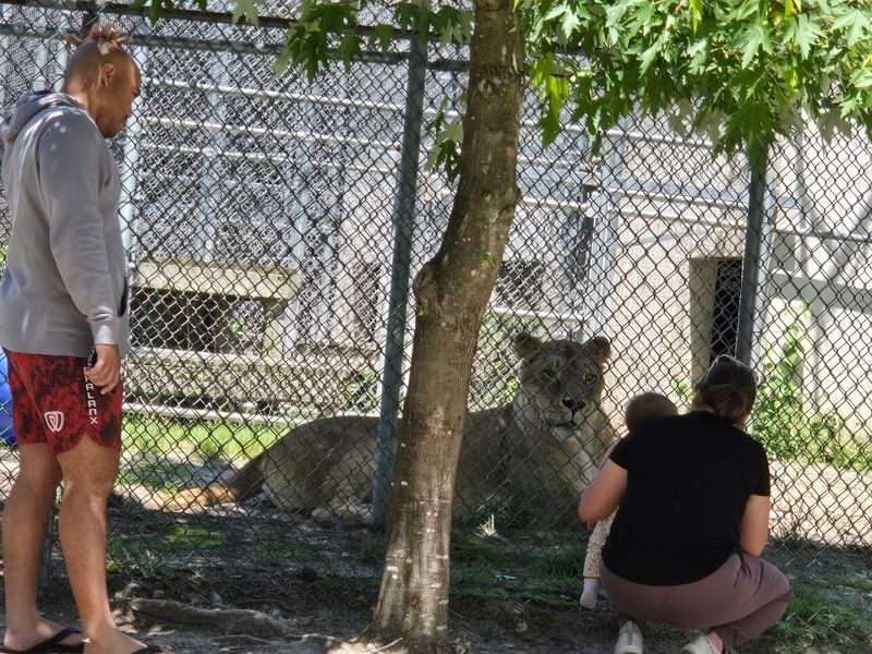 Practical Tips for Planning Your Visit