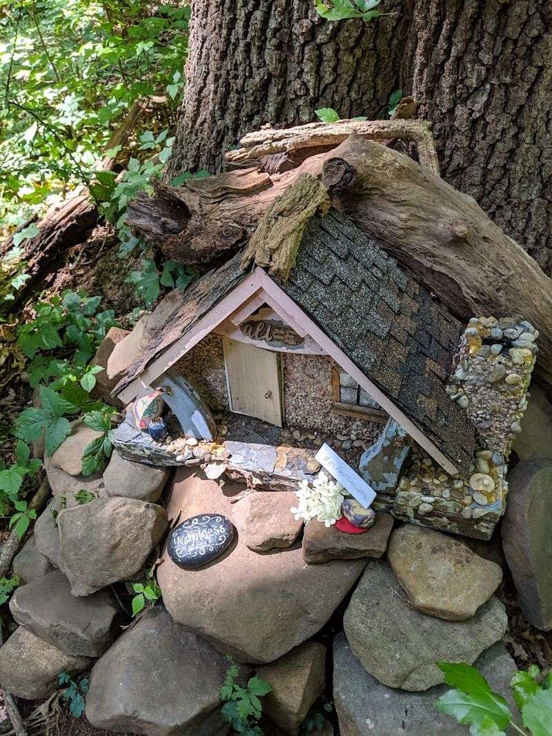 Spotting Every Fairy House Along the Way