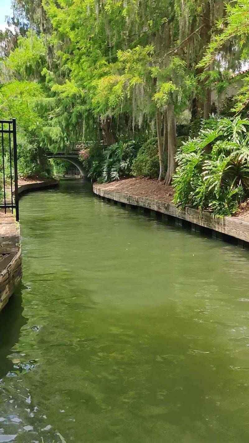 The Canopy Overhead That Changes Everything