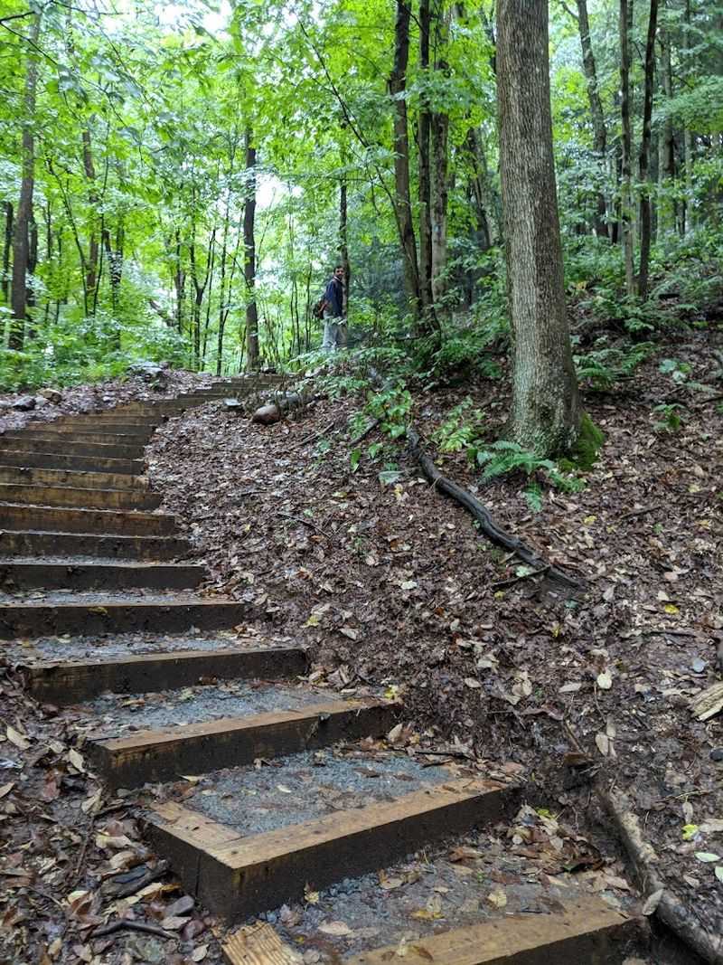 Family Visits and Kids at the Falls