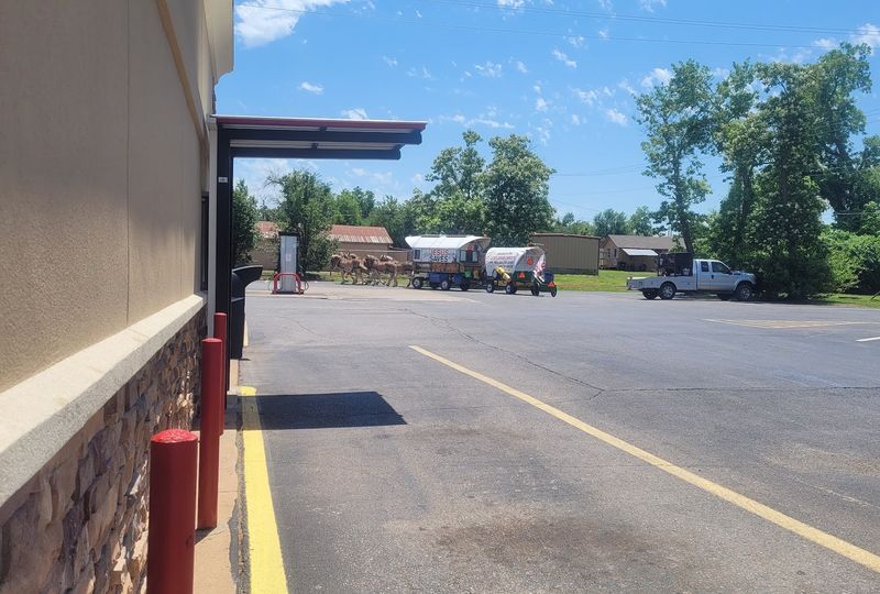 Planning Your Visit: Timing, Parking, and Practical Tips