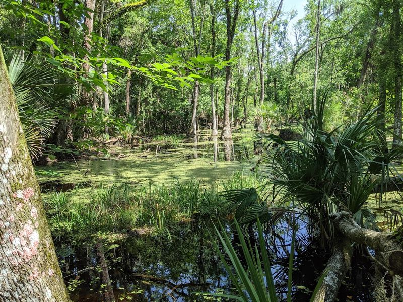 A Family-Friendly Adventure With Real Wild Moments