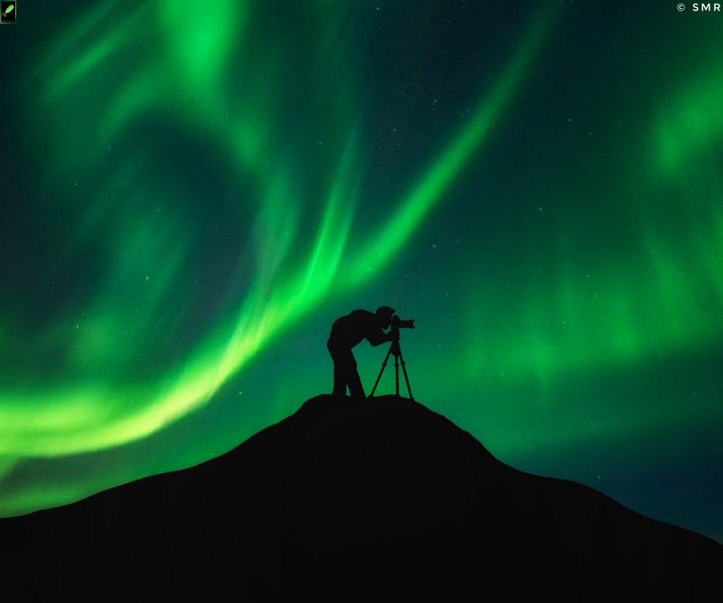 Tips for Viewing and Photographing