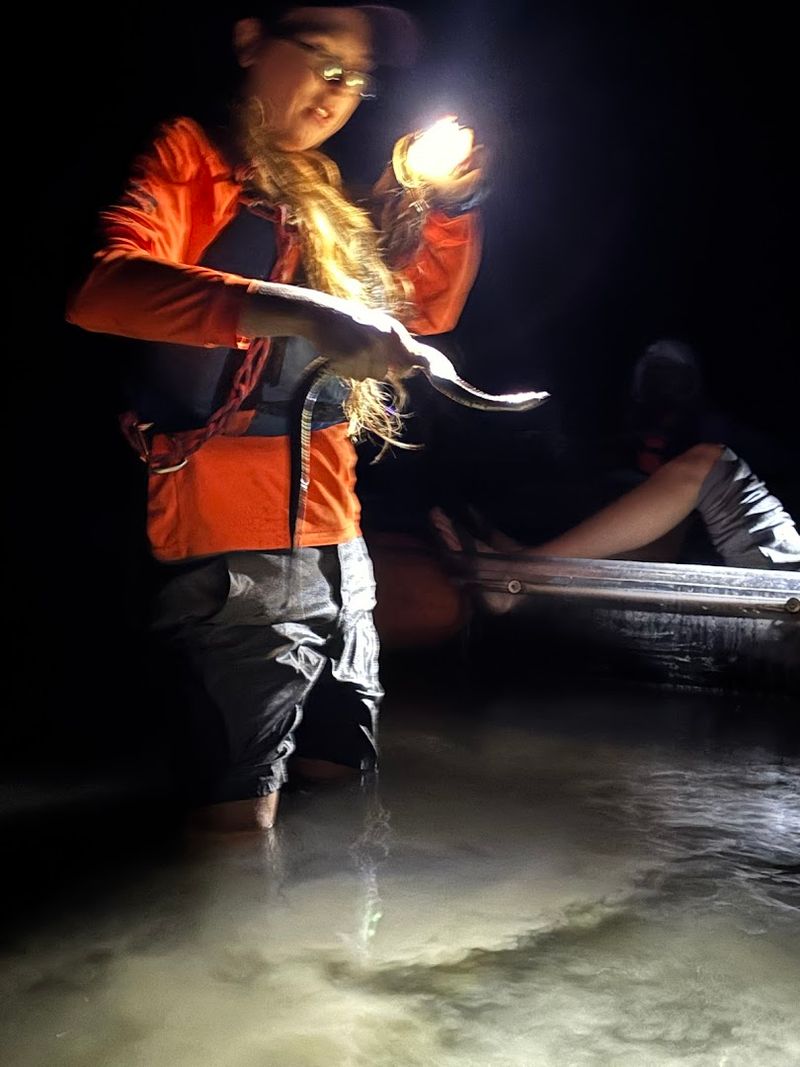 Guides Who Actually Know Their Stuff