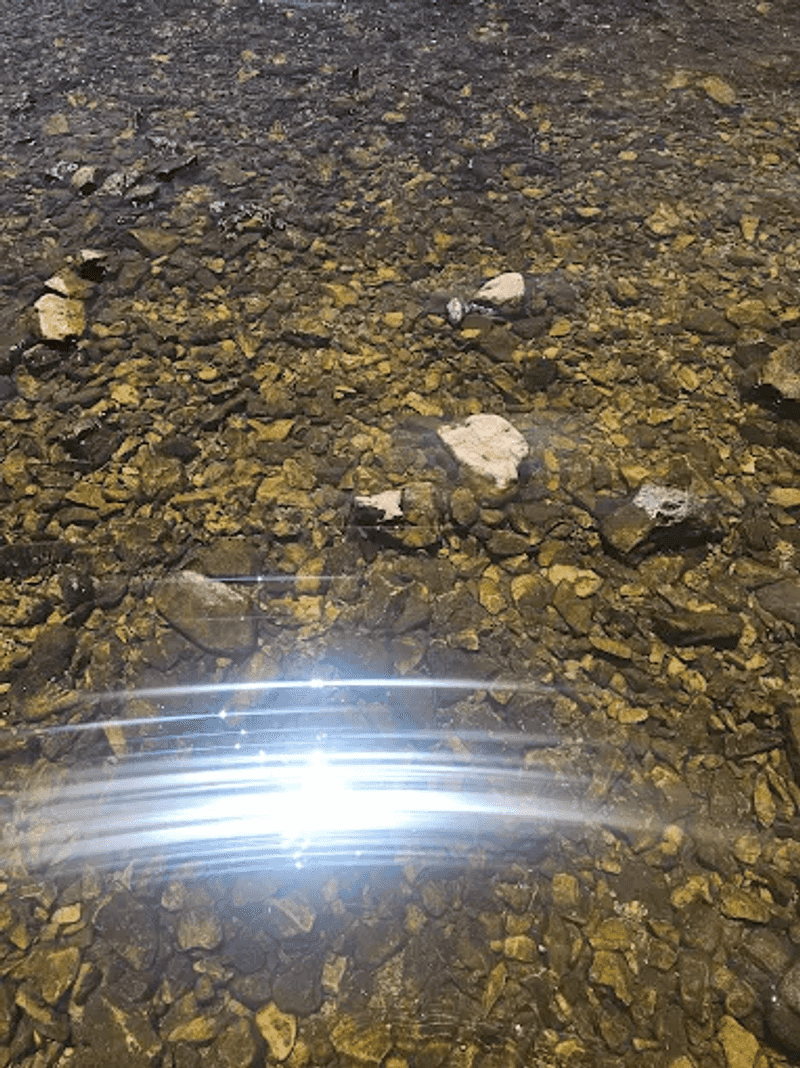 Transparency That Defies Belief