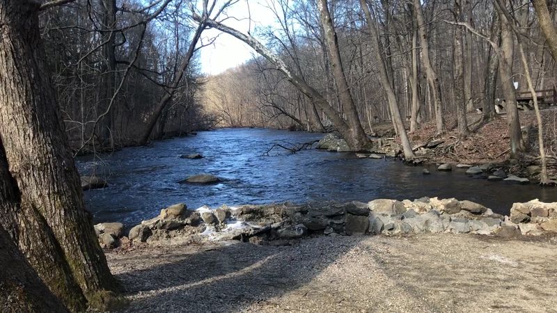 The History Behind the Name