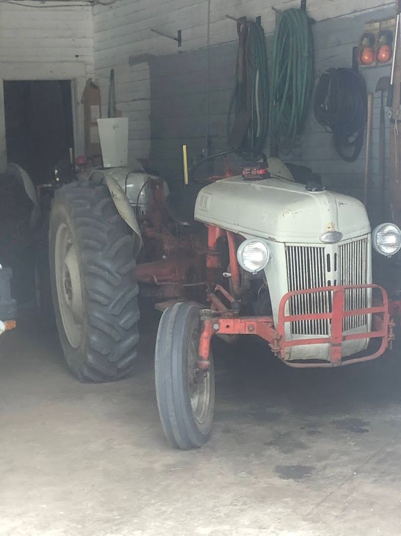 The Fascinating History Behind the Bogs