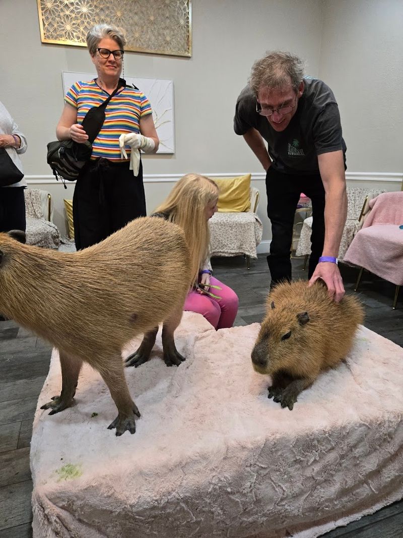 The Story Behind the Cafe and Why It Exists