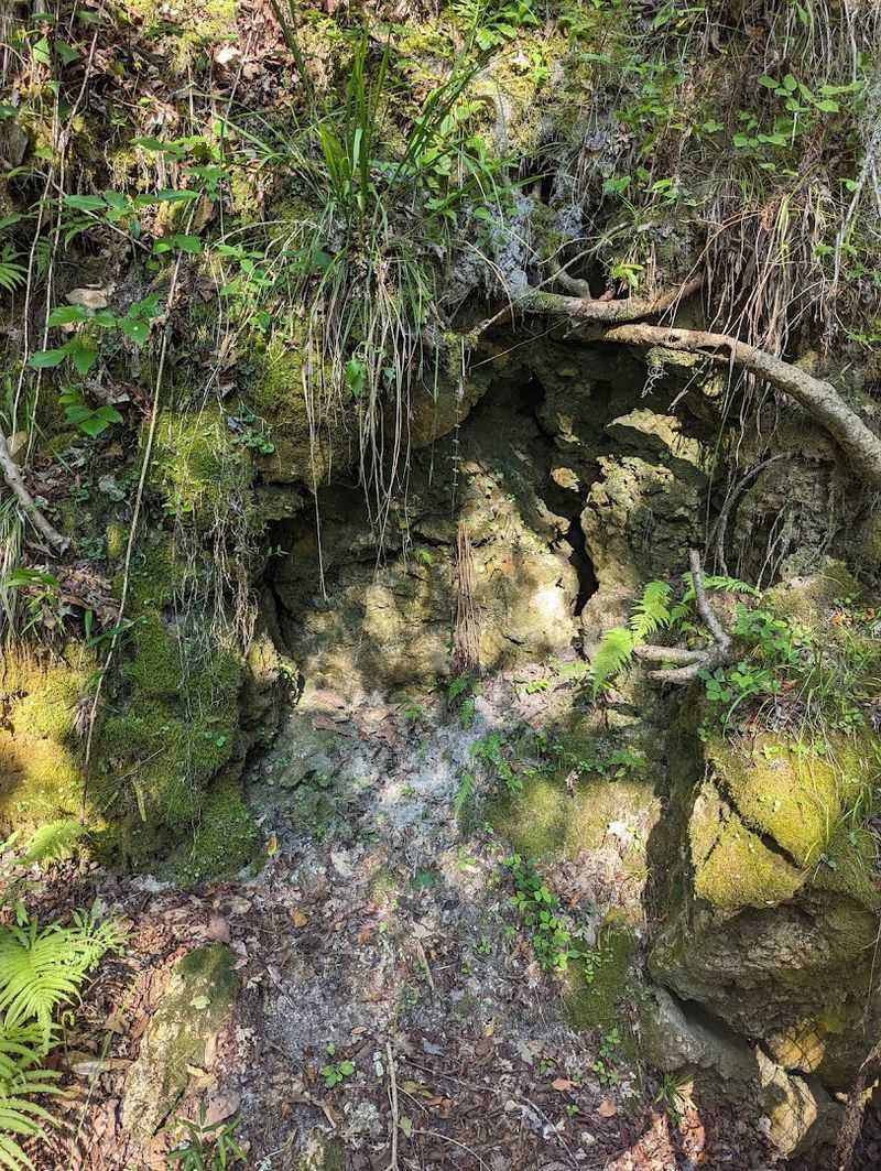 The Geological Story Behind the Sinkhole