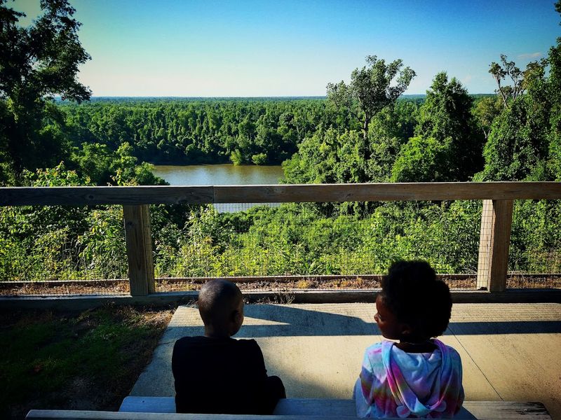 The Bluffs Above the Apalachicola River