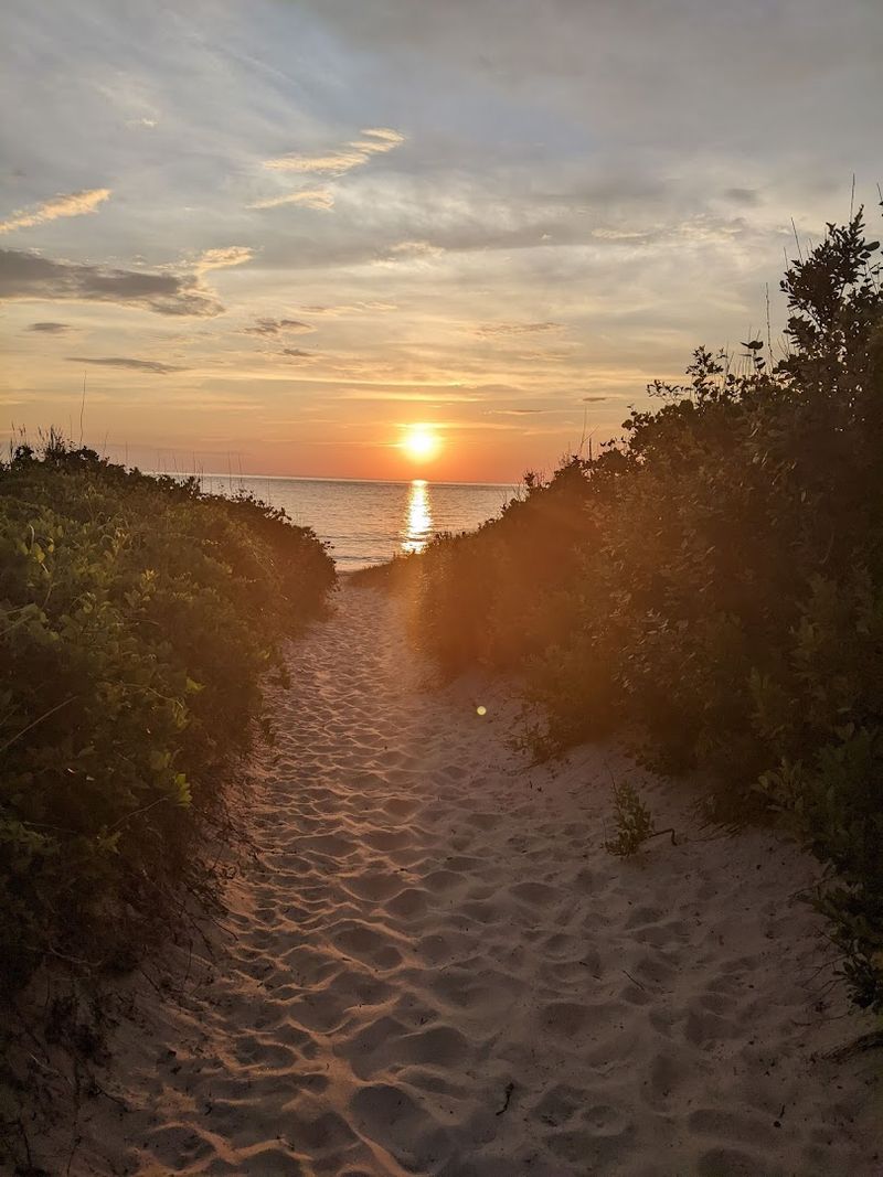 The Walk from the Lot to the Water