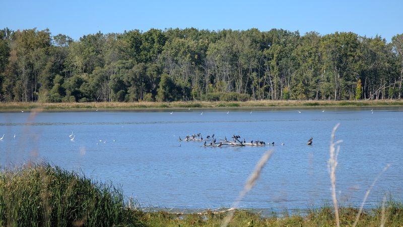 A Wetland World Unlike Anything Else in Michigan