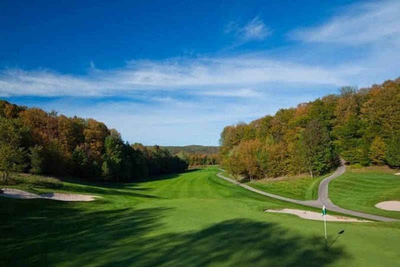 A Resort With Roots: The Story Behind Treetops