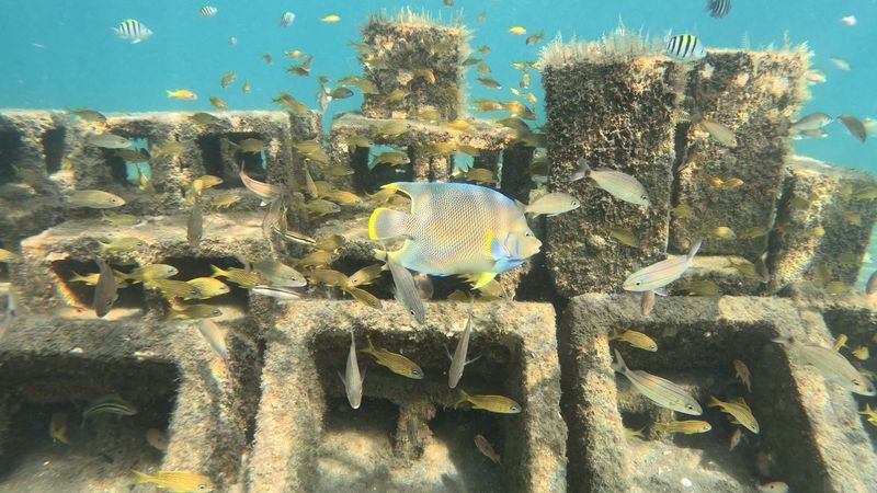 The Story Behind the Trail