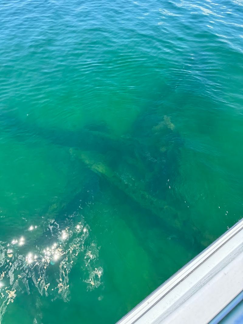 Glass Bottom Windows And How To Use Them