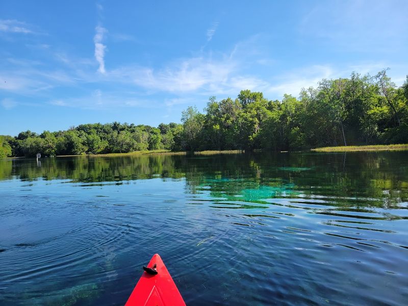 Respecting the No-Disposable Rule