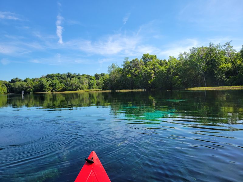 Respecting the No-Disposable Rule