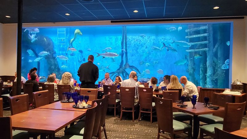 The 33,500-Gallon Aquarium That Steals the Show