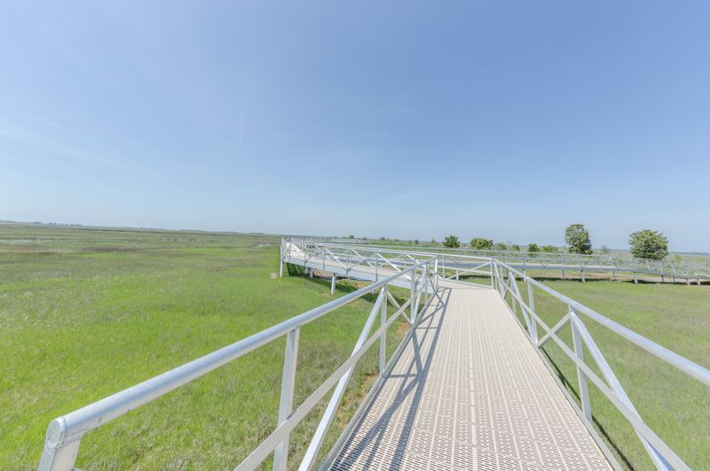 First Steps On The Boardwalk