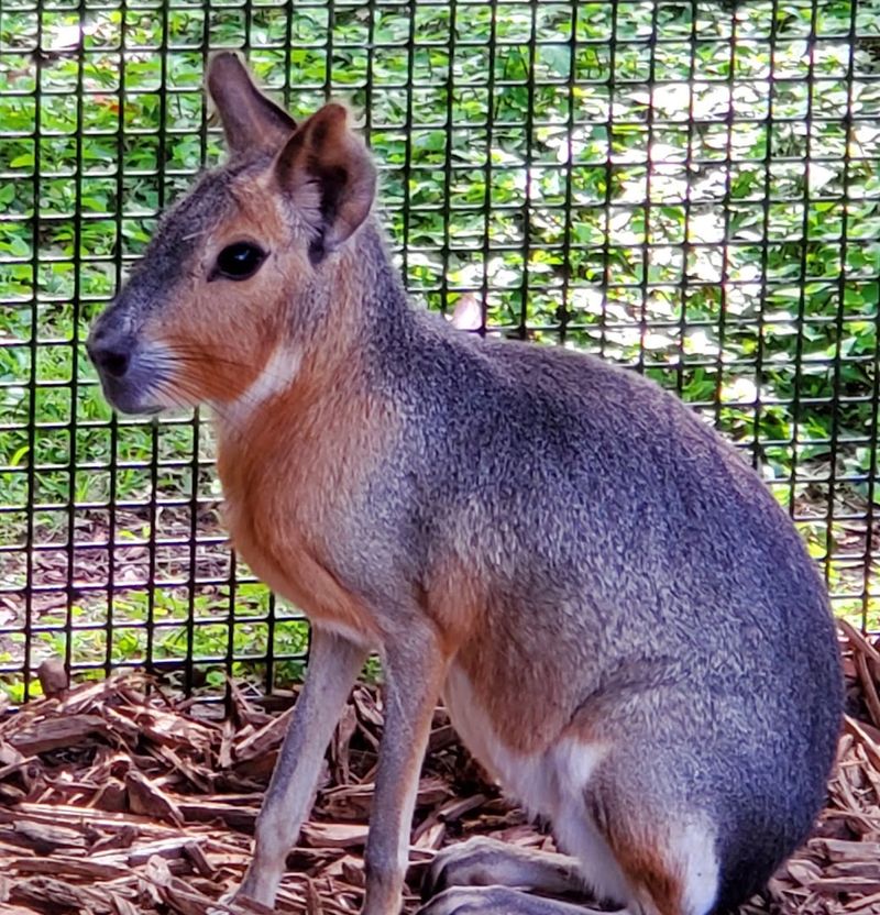 The Story And Mission