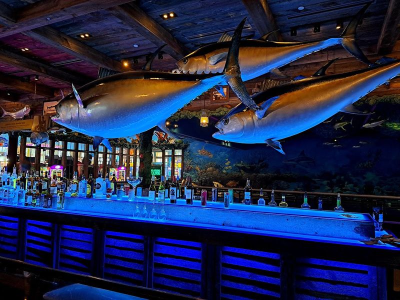 The Underwater Atmosphere That Sets the Mood