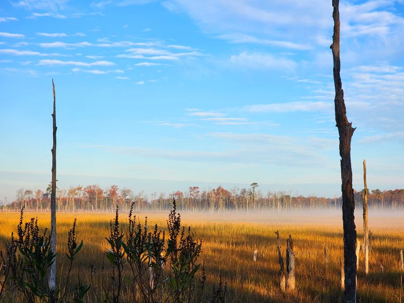 A Landscape Shaped by Tides