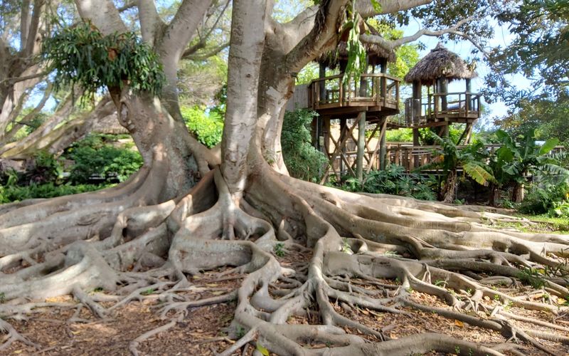 A Garden With Deep Roots In Sarasota History