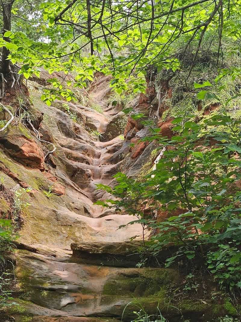 The Trail Network: More Than 12 Miles of Red Rock Terrain