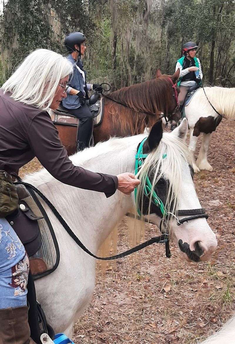 The Rescue Story Behind Every Horse