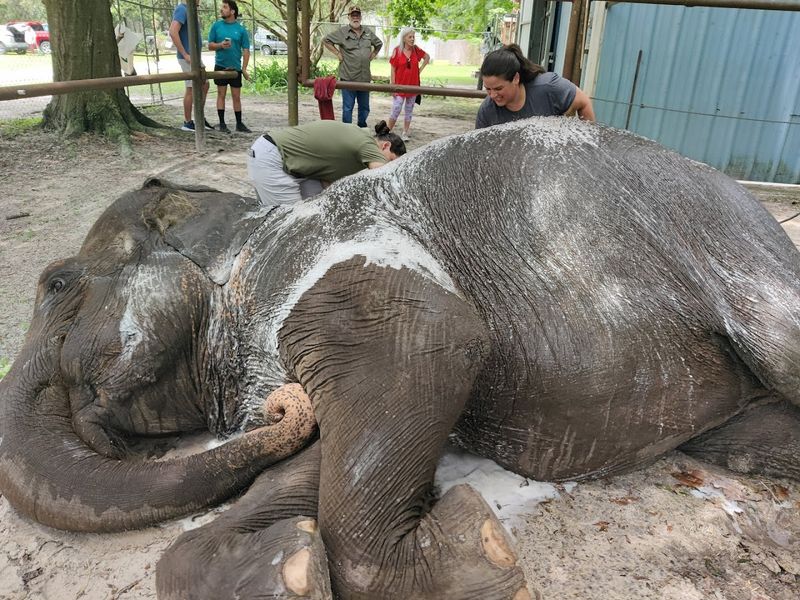 The Story Behind the Ranch