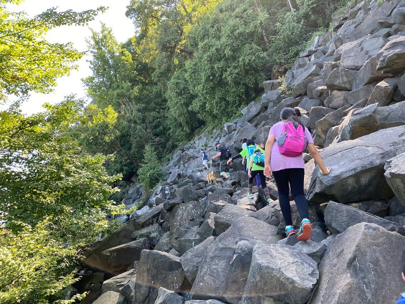 The Layout of the Loop and How to Read the Trail