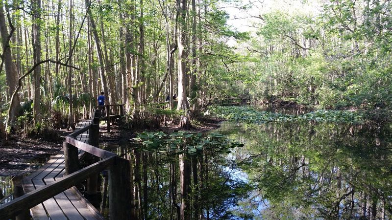 Why Winter Changes Everything on This Trail