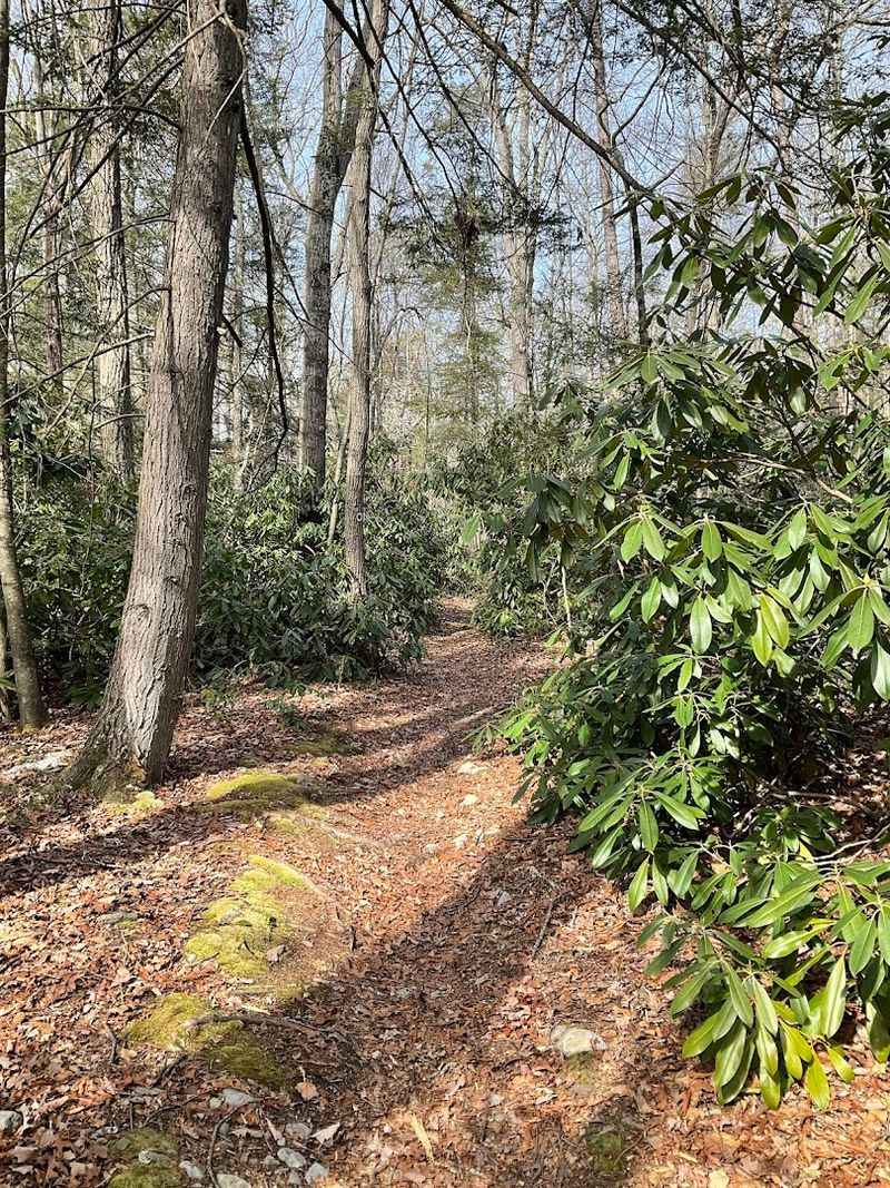 The 2.8-Mile Loop Explained