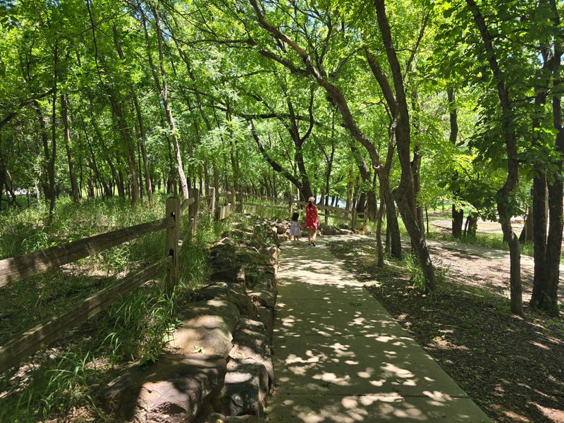 Woodland Wonders Along the Path