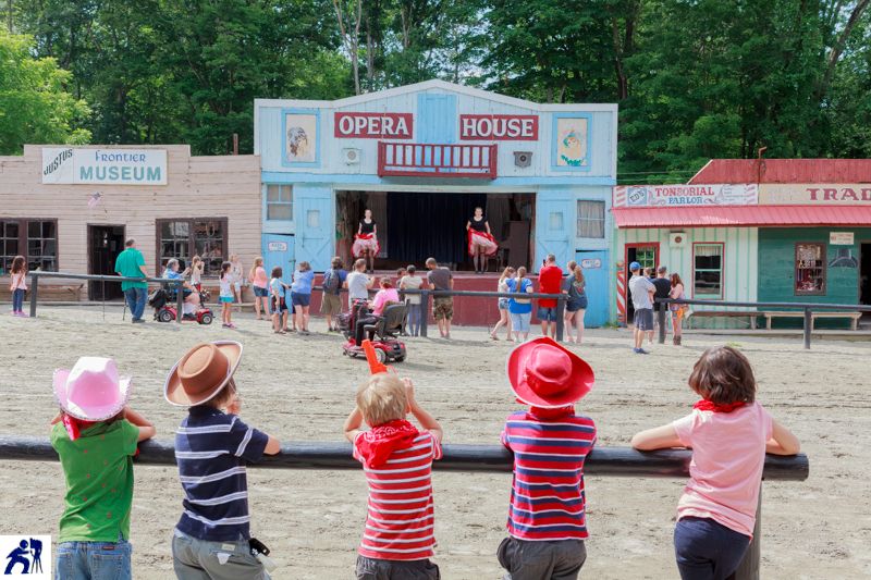 The Live Shows That Actually Steal the Day