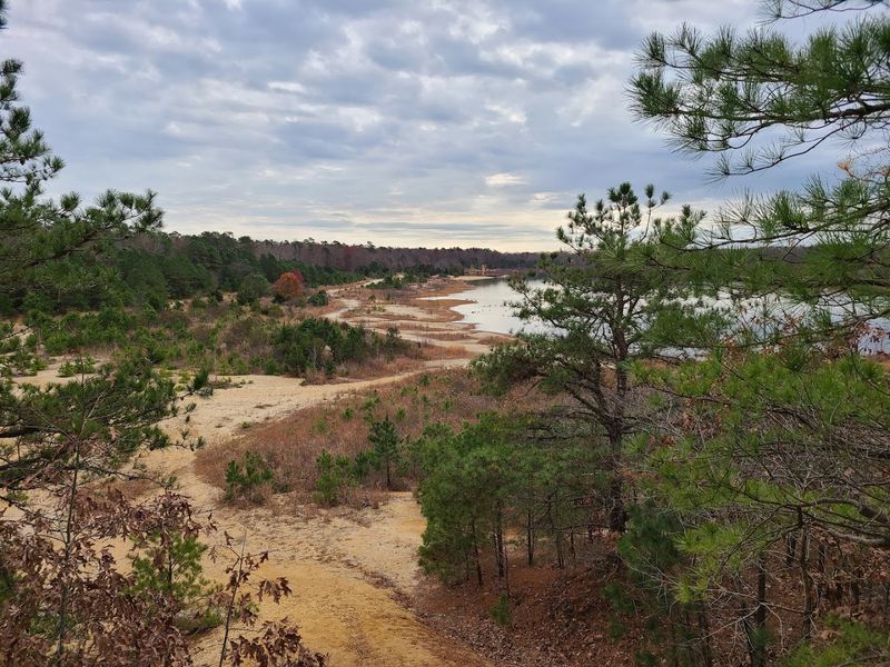 The History Behind the Land