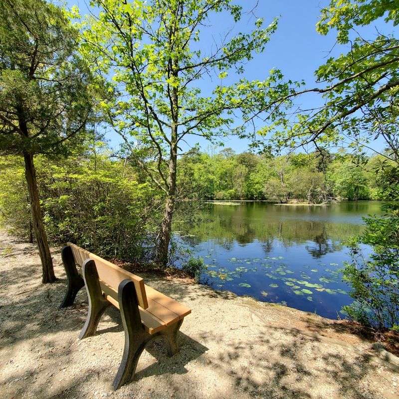 The Generous Gift Behind the Land