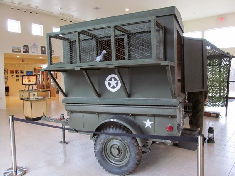 The Story Behind the Museum and Why It Exists