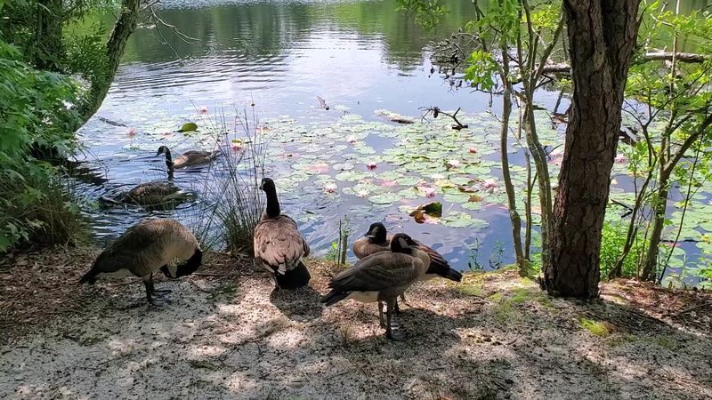 Why This Place Deserves More Attention Than It Gets