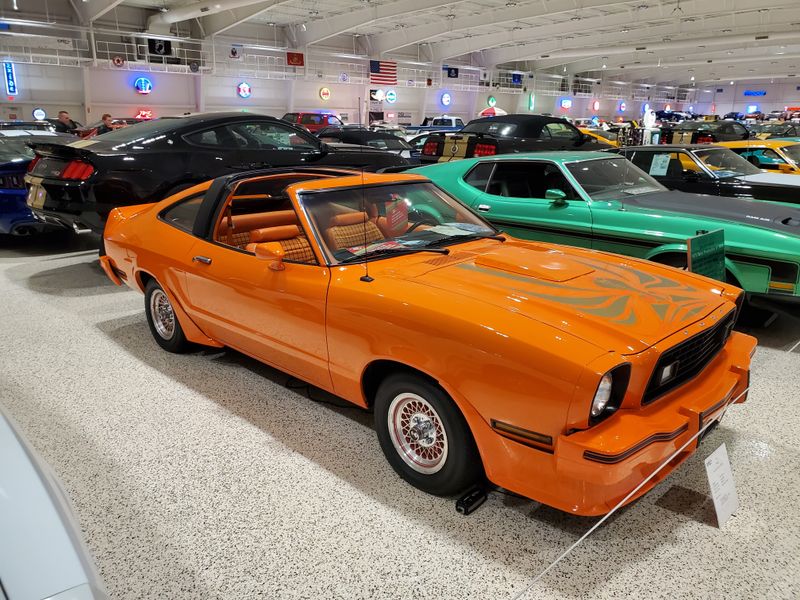 Space for Kids and Newcomers