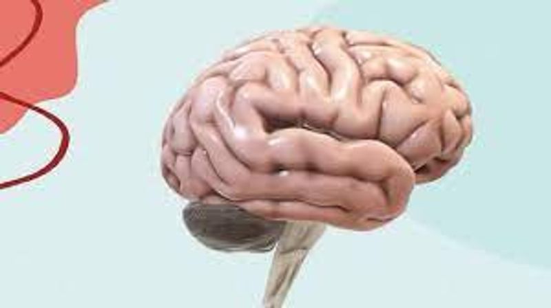 The Link to Brainwaves and Sleep