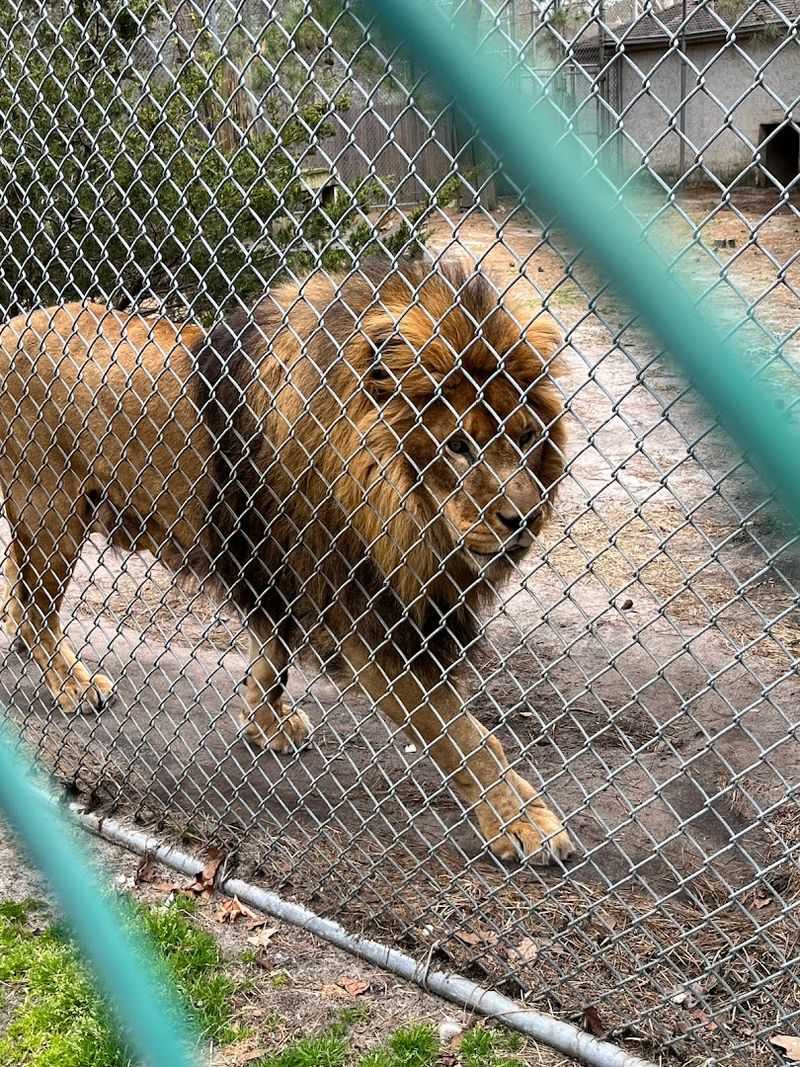 A Closing Thought on Second Chances