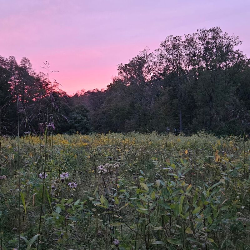 Creating Memories That Last