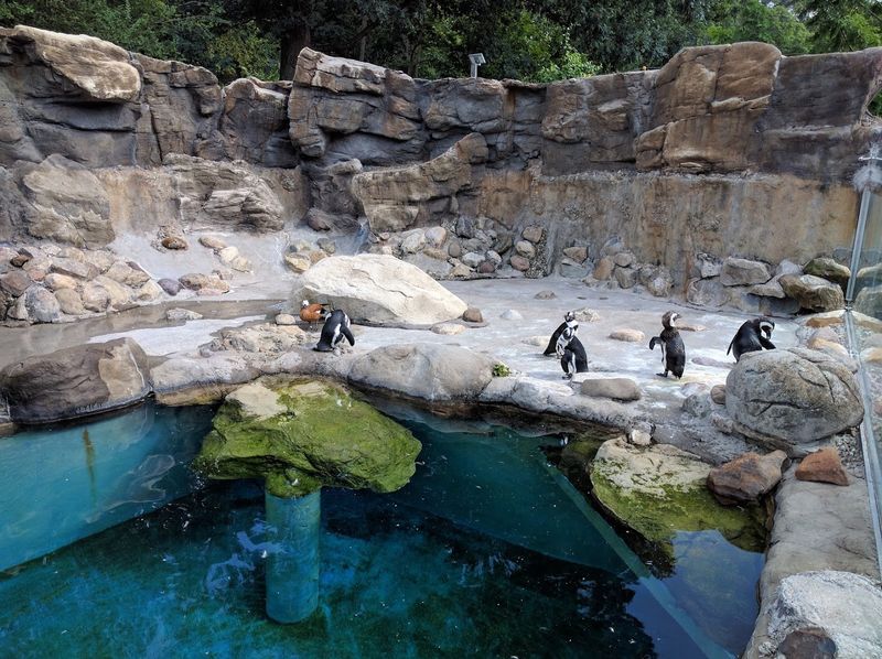 A Full Day Worth Planning For