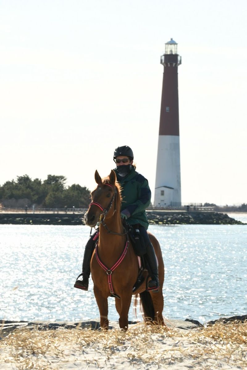 The Barnegat Lighthouse View That Steals the Show