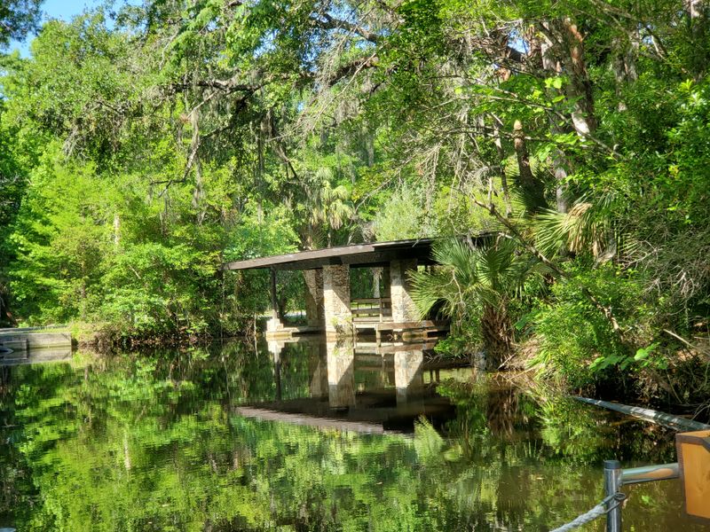 Picnic Grove Under the Oaks