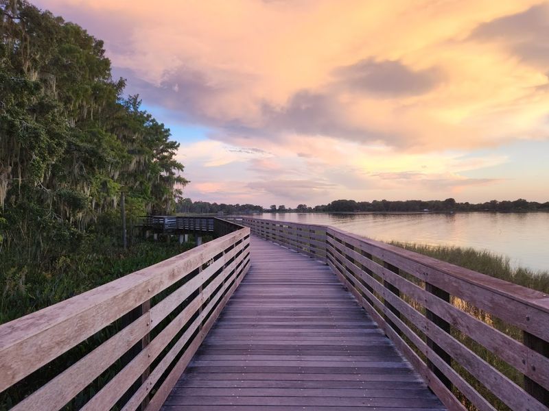 The Palm Island Boardwalk Next Door