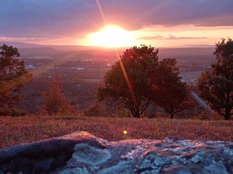 Camping Under the Ouachita Stars