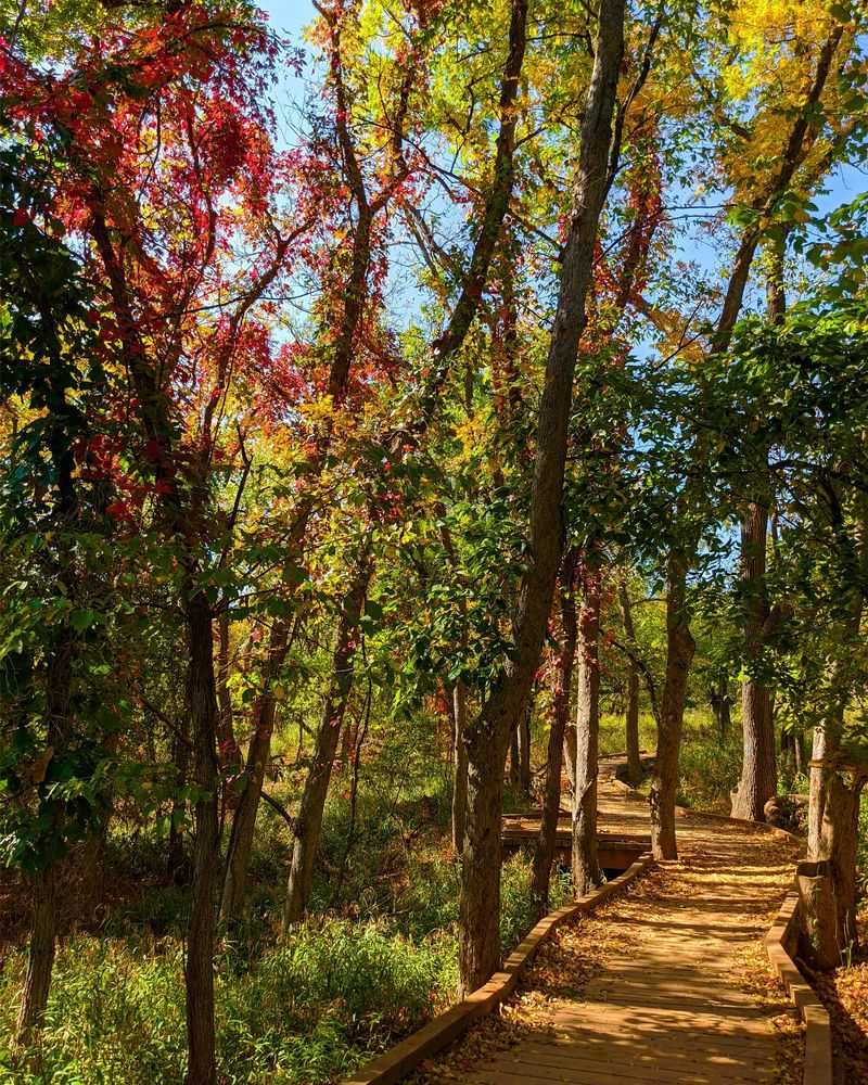 Perfect for All Skill Levels